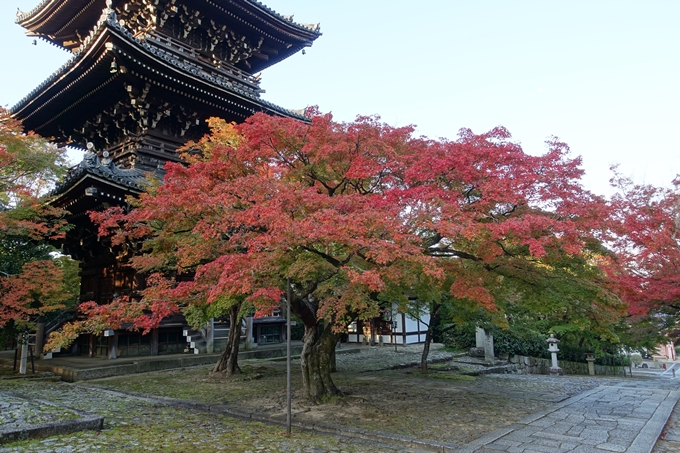 京都_紅葉情報_2019_07　真如堂　No17