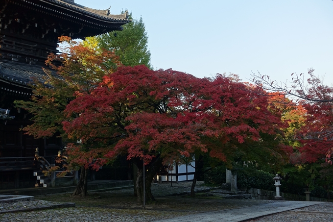 京都_紅葉情報_2019_07　真如堂　No19