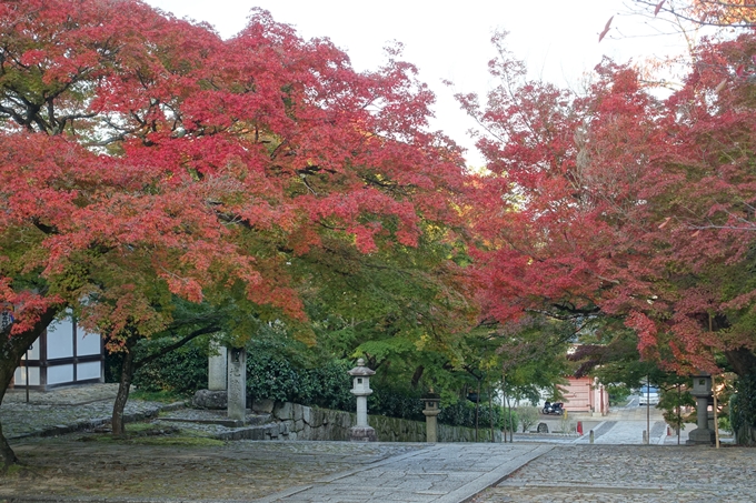 京都_紅葉情報_2019_07　真如堂　No20