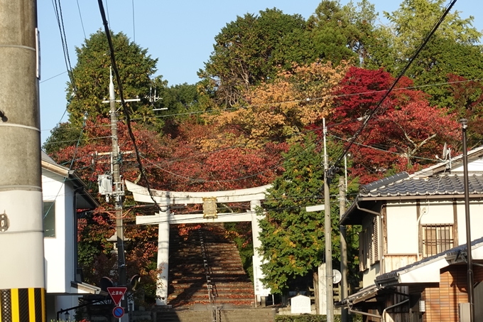 京都_紅葉情報_2019_07　真如堂　No37