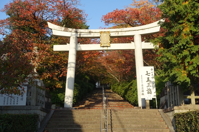 京都_紅葉情報_2019_07　真如堂　No38