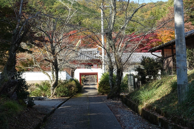 京都_紅葉情報_2019_08　西光寺_龍穏寺　No4