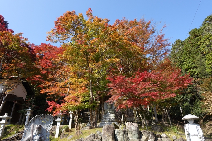 京都_紅葉情報_2019_08　西光寺_龍穏寺　No9