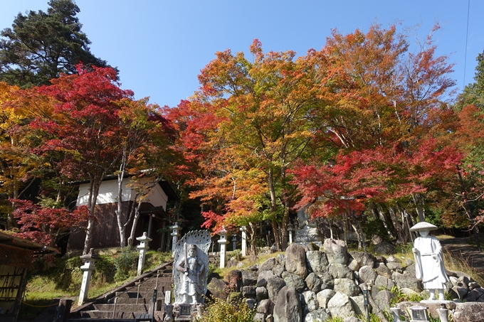 京都_紅葉情報_2019_08　西光寺_龍穏寺　No10