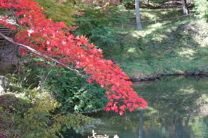 京都_紅葉情報_2019_08　西光寺_龍穏寺　No32