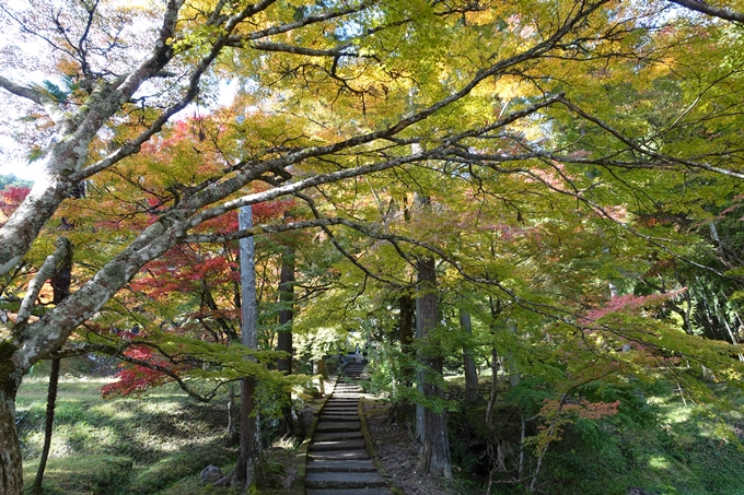 京都_紅葉情報_2019_08　西光寺_龍穏寺　No34