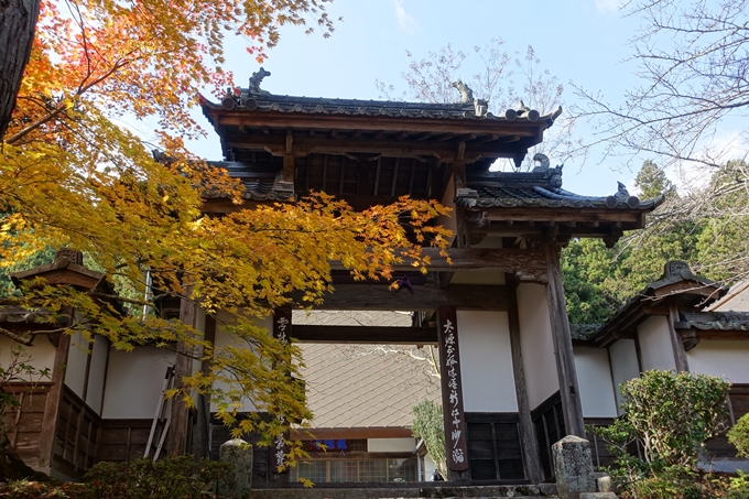 京都_紅葉情報_2019_08　西光寺_龍穏寺　No39