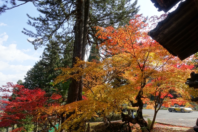 京都_紅葉情報_2019_08　西光寺_龍穏寺　No43