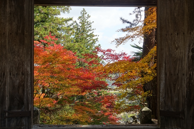 京都_紅葉情報_2019_08　西光寺_龍穏寺　No44