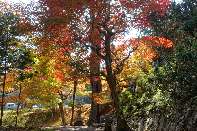 京都_紅葉情報_2019_08　西光寺_龍穏寺　No50