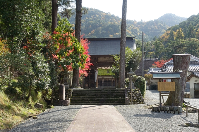 京都_紅葉情報_2019_08　西光寺_龍穏寺　No54