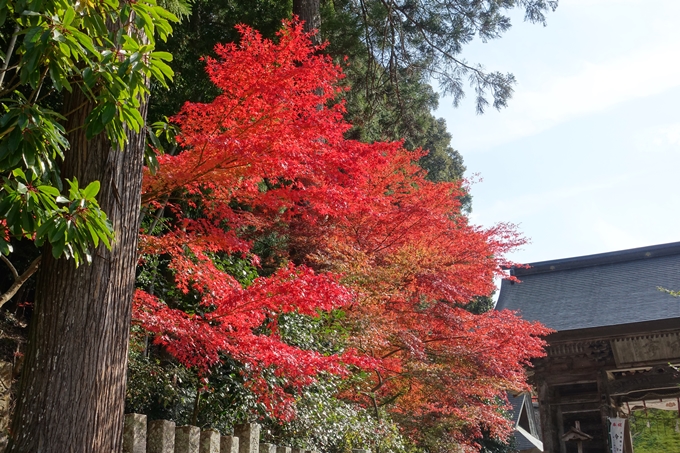 京都_紅葉情報_2019_08　西光寺_龍穏寺　No55