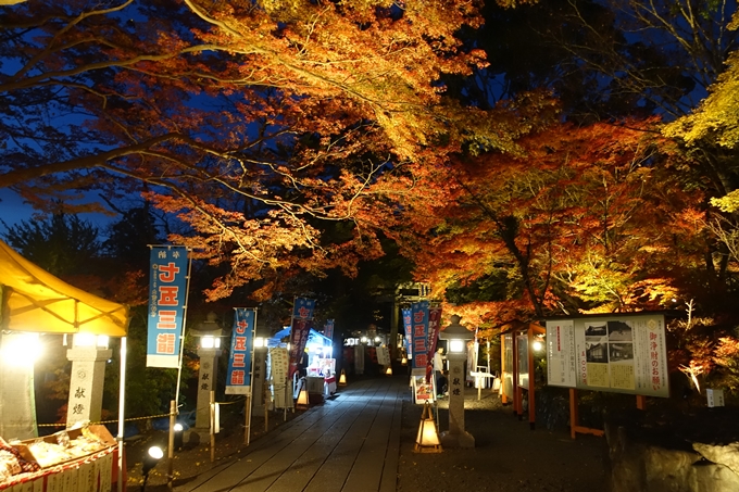 京都_紅葉情報_2019_09　出雲大社　No4