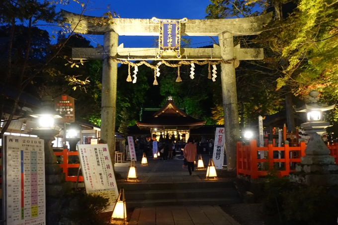 京都_紅葉情報_2019_09　出雲大社　No7