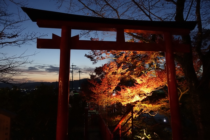 京都_紅葉情報_2019_09　出雲大社　No8