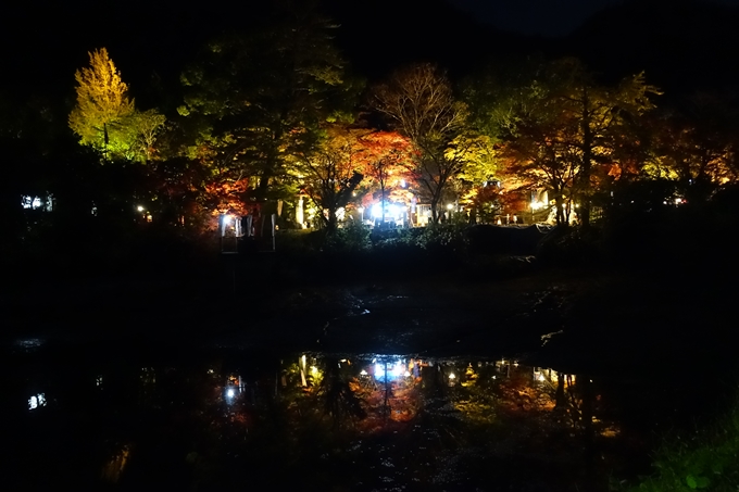 京都_紅葉情報_2019_09　出雲大社　No23