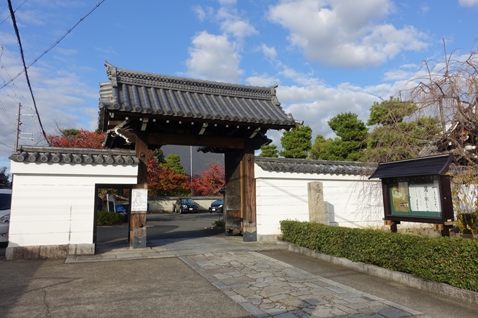 京都_紅葉情報_2019_11　妙顕寺　No6