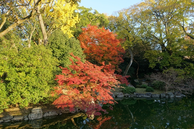 京都_紅葉情報_2019_12　京都御苑　No32