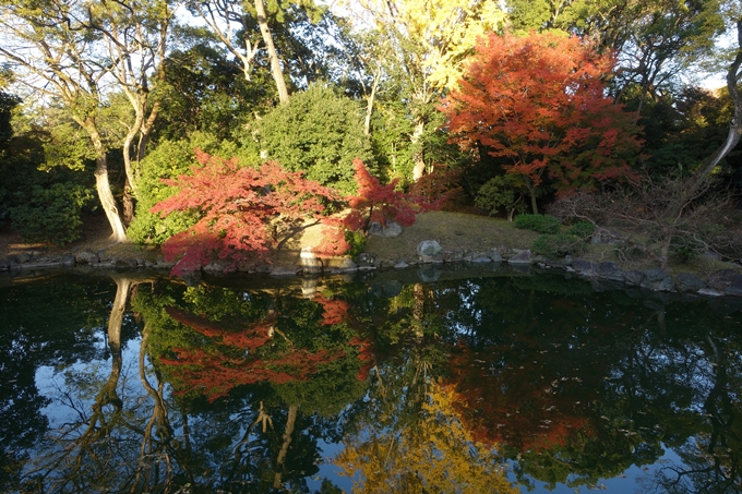 京都_紅葉情報_2019_12　京都御苑　No33