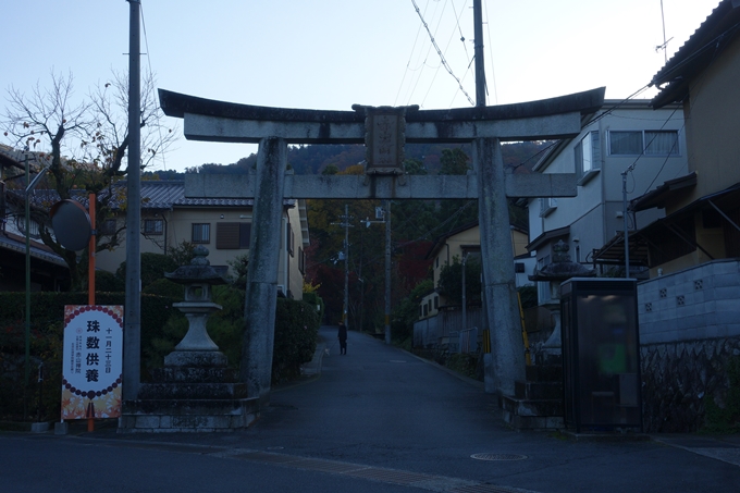 京都_紅葉情報_2019_13　赤山禅院　No3