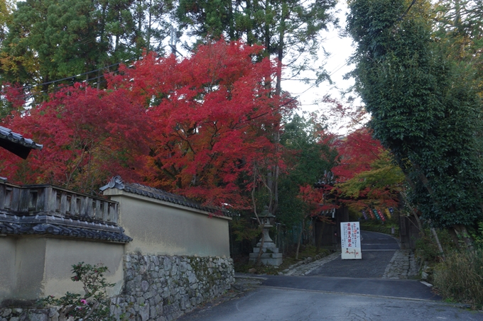 京都_紅葉情報_2019_13　赤山禅院　No4