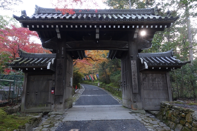 京都_紅葉情報_2019_13　赤山禅院　No5