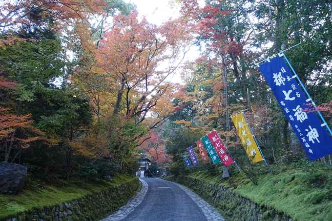 京都_紅葉情報_2019_13　赤山禅院　No6