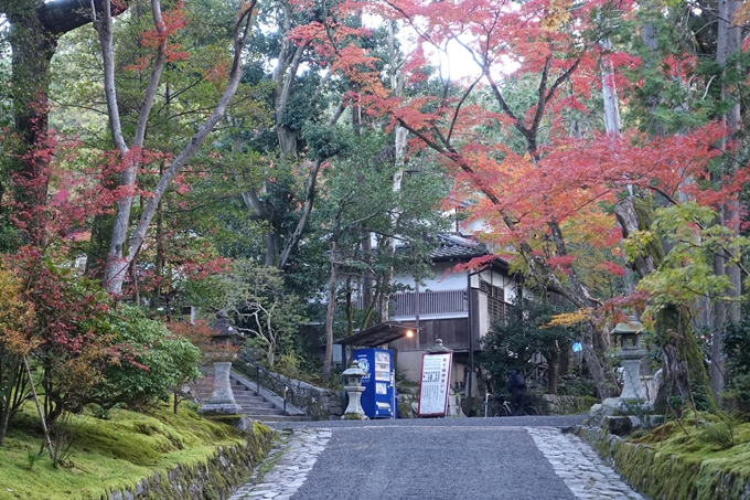 京都_紅葉情報_2019_13　赤山禅院　No7