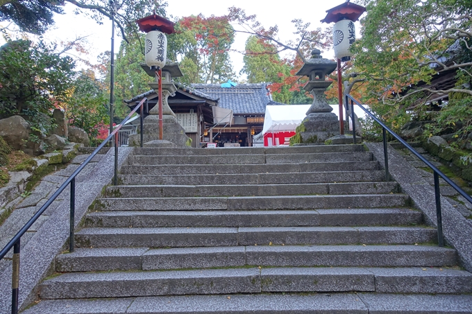 京都_紅葉情報_2019_13　赤山禅院　No8