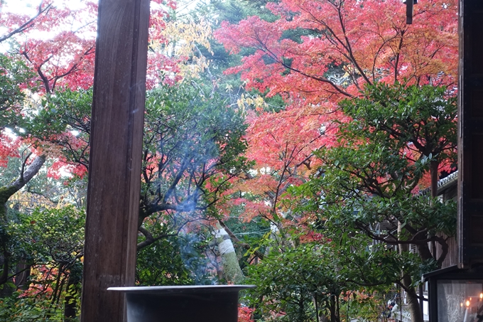 京都_紅葉情報_2019_13　赤山禅院　No13