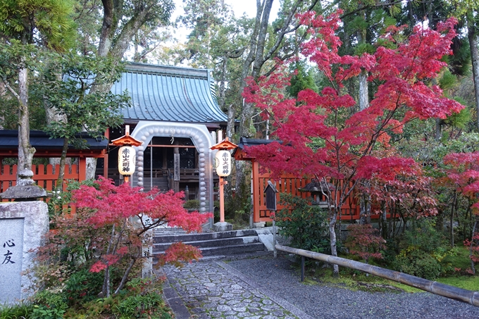 京都_紅葉情報_2019_13　赤山禅院　No15