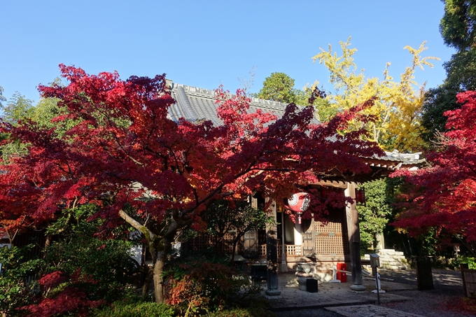 京都_紅葉情報_2019_13　赤山禅院　No35