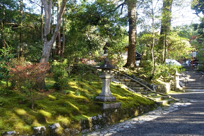 京都_紅葉情報_2019_13　赤山禅院　No38