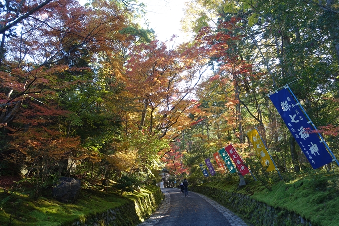 京都_紅葉情報_2019_13　赤山禅院　No41