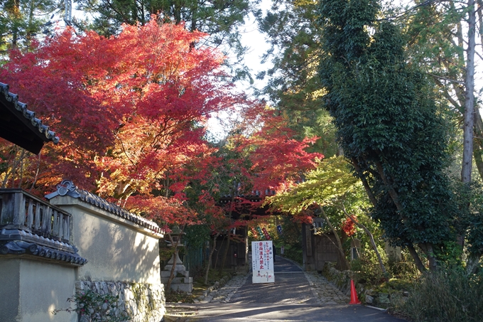 京都_紅葉情報_2019_13　赤山禅院　No42