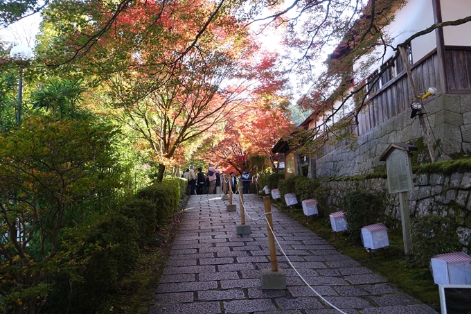 京都_紅葉情報_2019_14　曼殊院門跡　No2