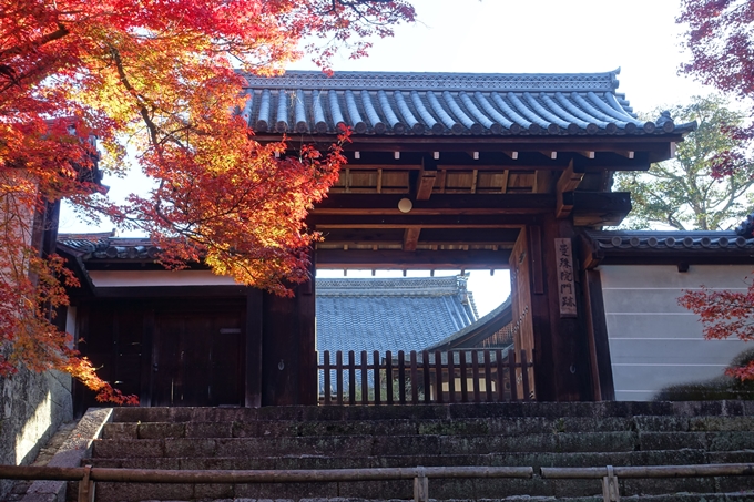 京都_紅葉情報_2019_14　曼殊院門跡　No9