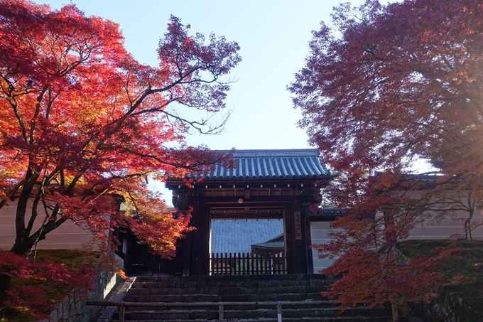 京都_紅葉情報_2019_14　曼殊院門跡　No10