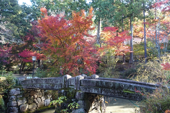 京都_紅葉情報_2019_14　曼殊院門跡　No22