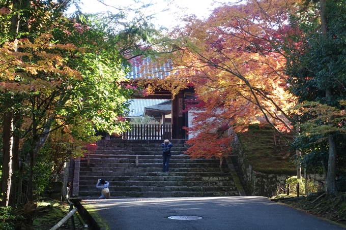 京都_紅葉情報_2019_14　曼殊院門跡　No23