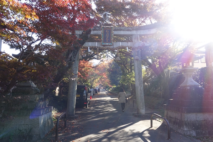 京都_紅葉情報_2019_14　曼殊院門跡　No36