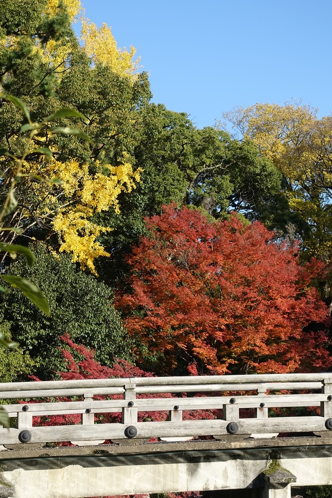 京都_紅葉情報_2019_15　京都御苑　No34