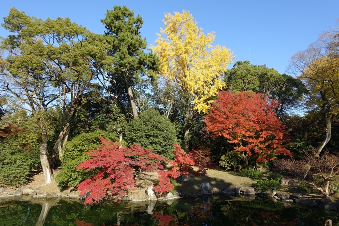 京都_紅葉情報_2019_15　京都御苑　No37