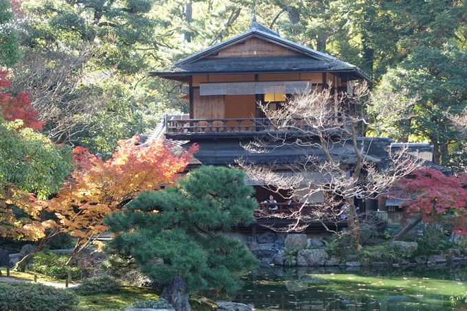 京都_紅葉情報_2019_15　京都御苑　No38