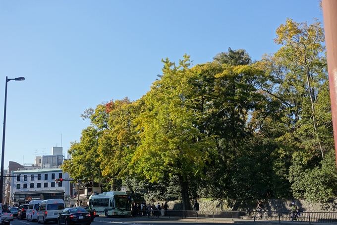 京都_紅葉情報_2019_15　京都御苑　No39