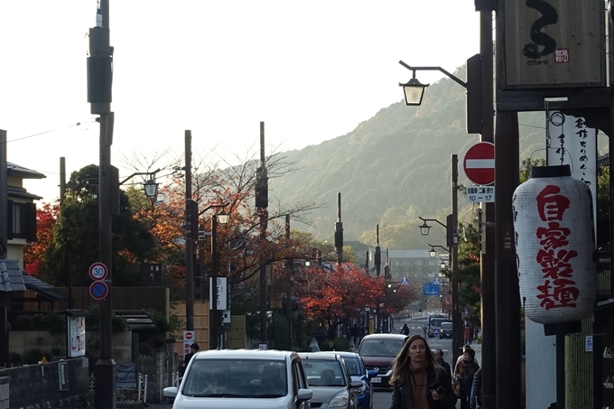 京都_紅葉情報_2019_16　嵯峨嵐山　No2