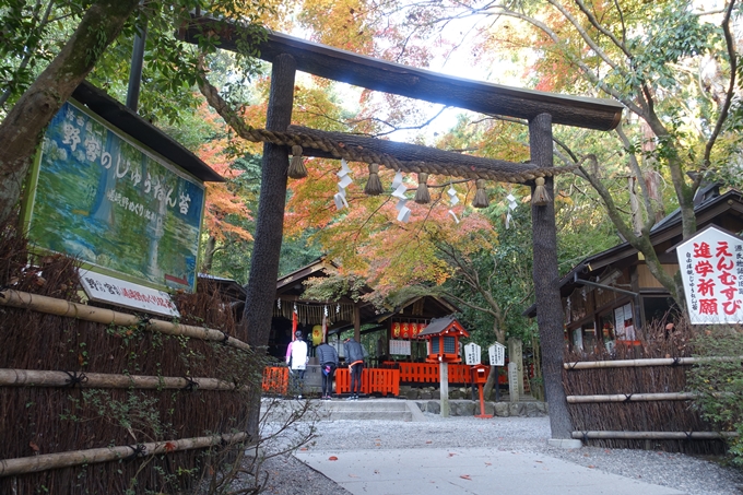 京都_紅葉情報_2019_16　嵯峨嵐山　No5