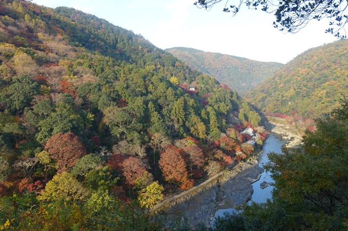 京都_紅葉情報_2019_16　嵯峨嵐山　No14