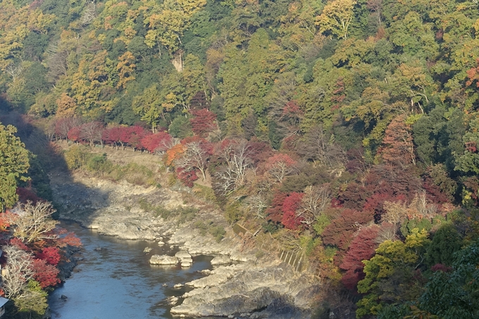 京都_紅葉情報_2019_16　嵯峨嵐山　No15