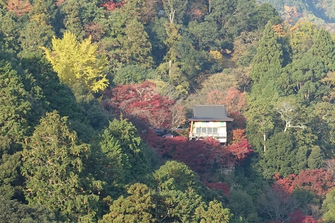 京都_紅葉情報_2019_16　嵯峨嵐山　No16